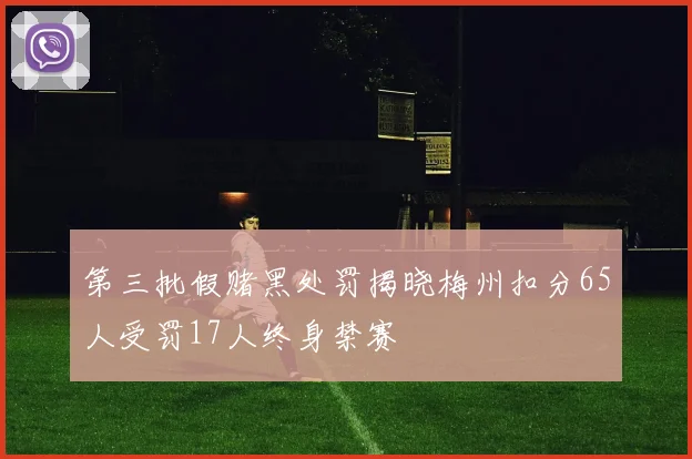 第三批假赌黑处罚揭晓梅州扣分65人受罚17人终身禁赛