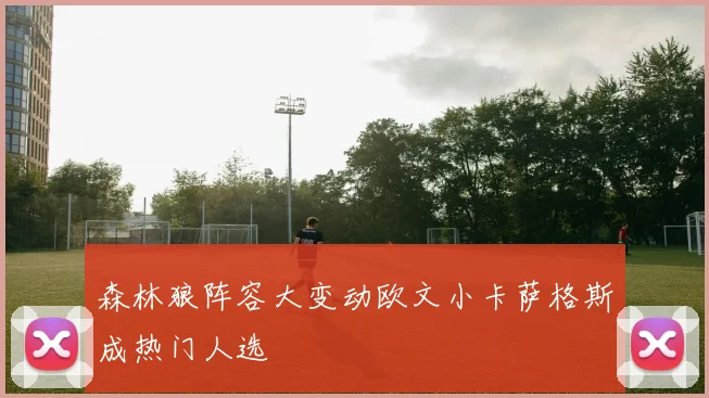 森林狼阵容大变动欧文小卡萨格斯成热门人选